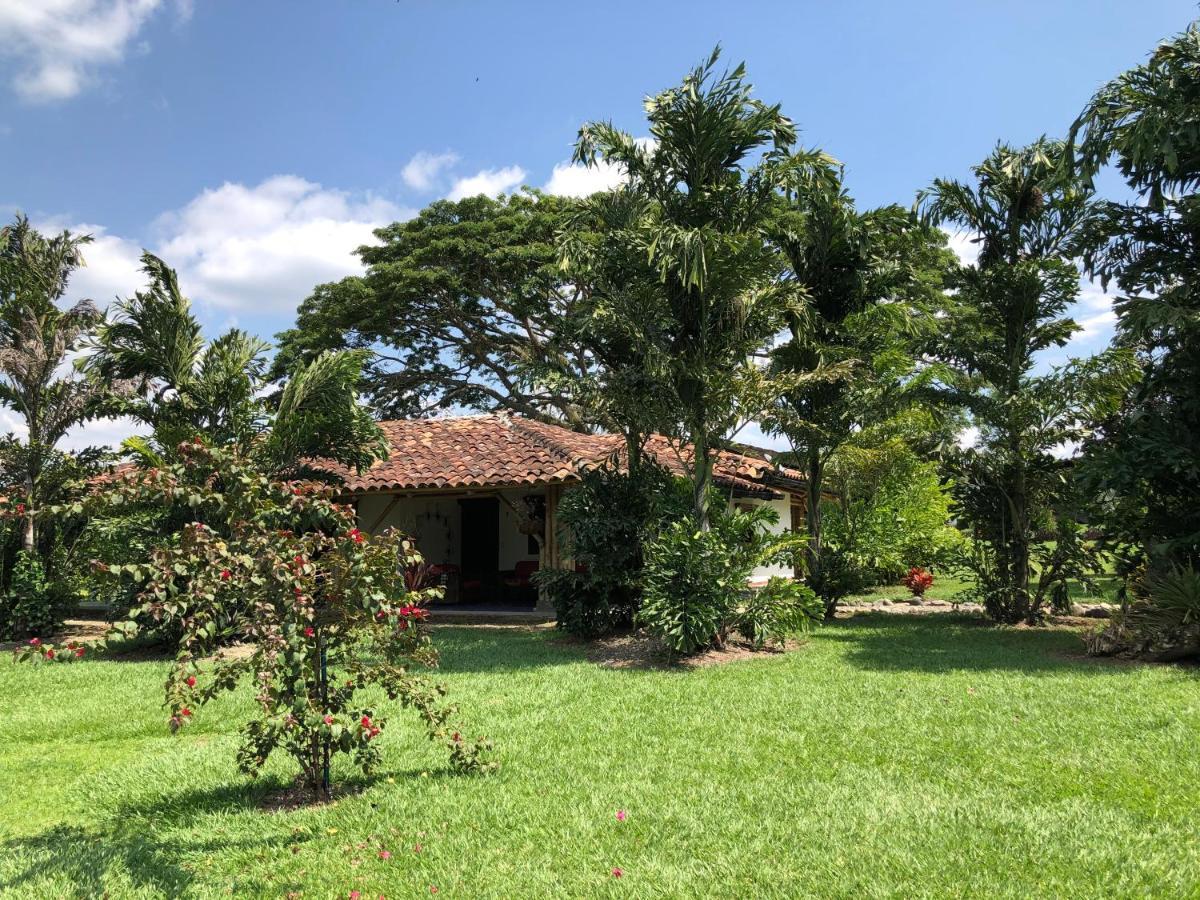 Brasilia El Edén